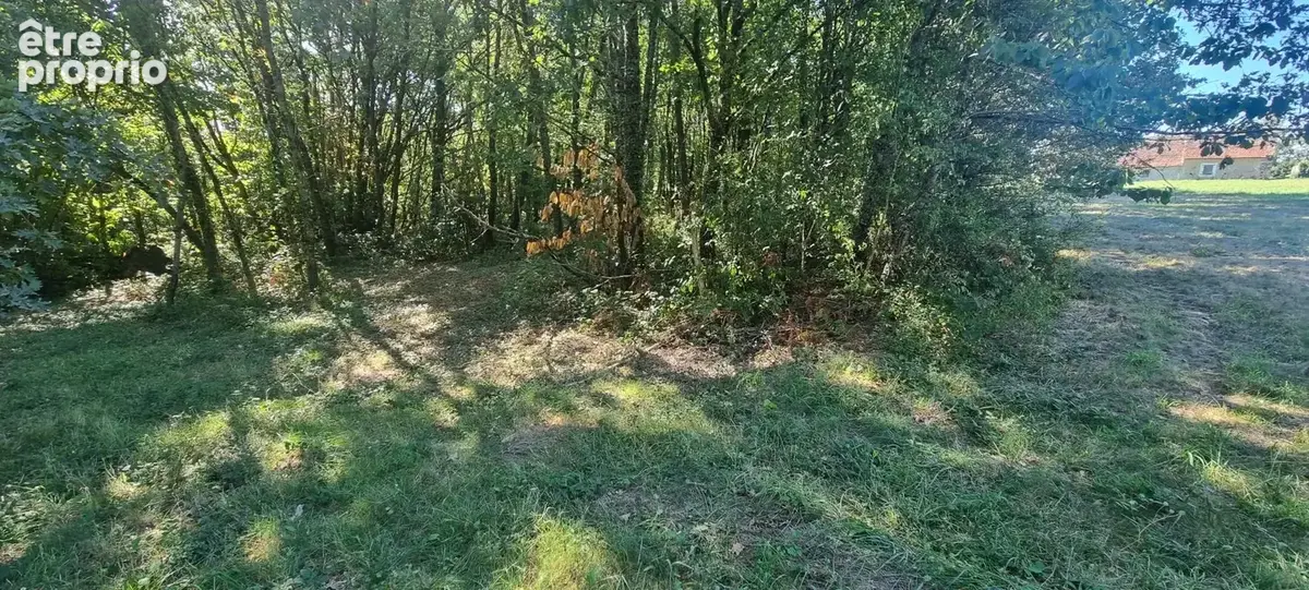 Terrain à bâtir 3100m2 à DOMME avec partie boisée - photo 4