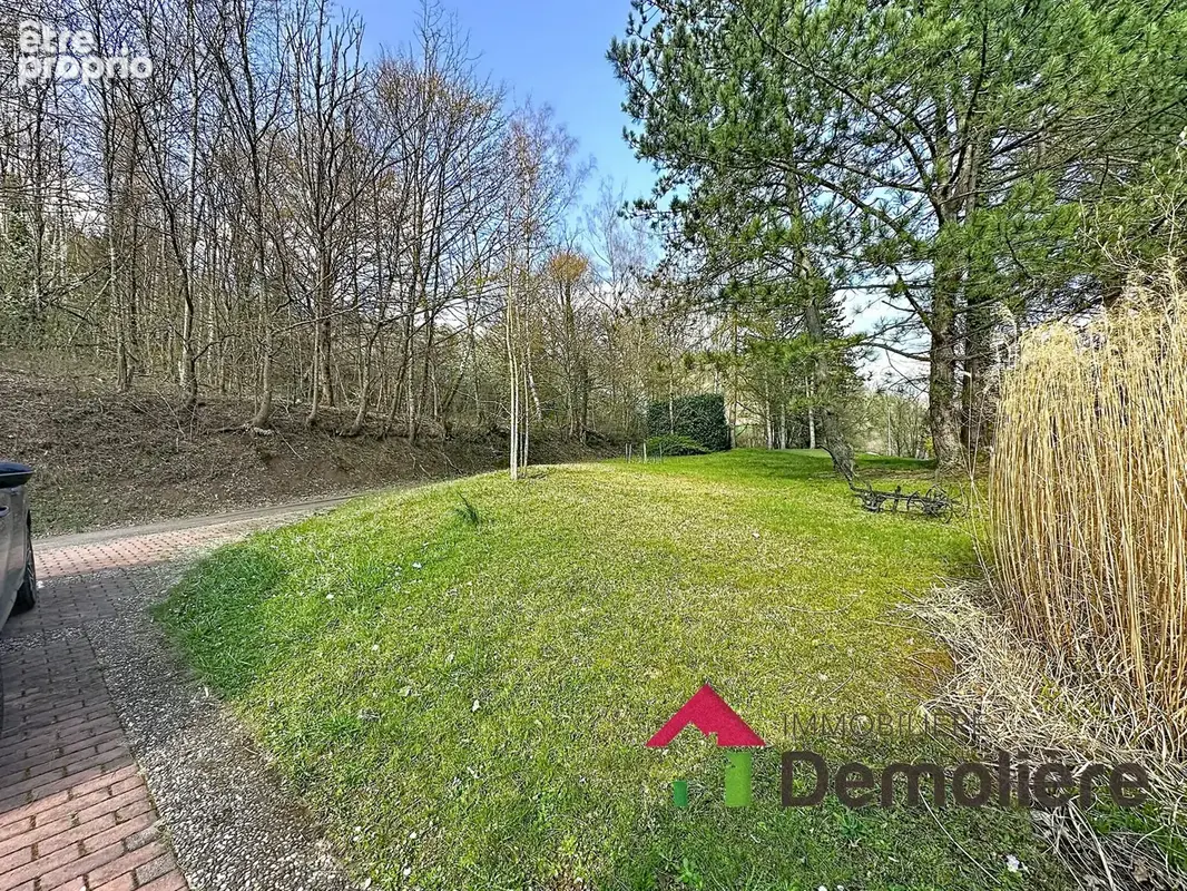 Maison 394 m² à Schirmeck  - photo 4