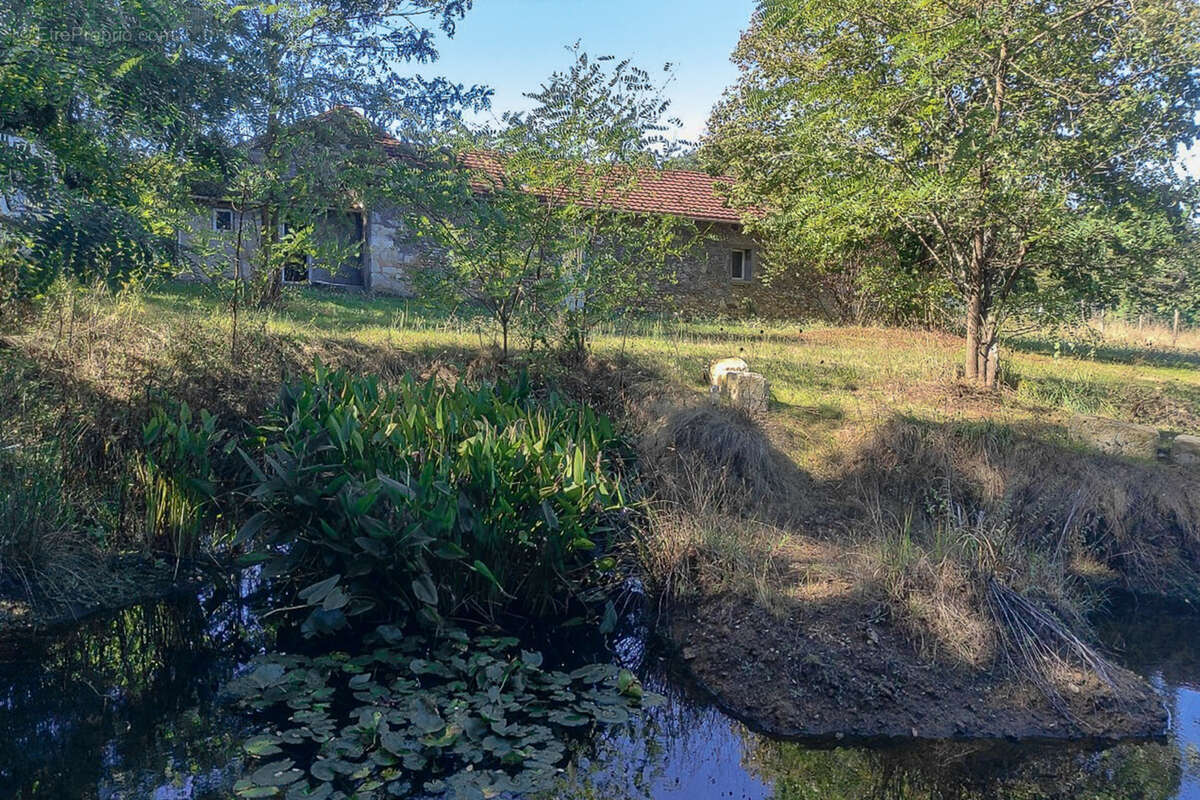 Propriété de trois maisons au calme - photo 13
