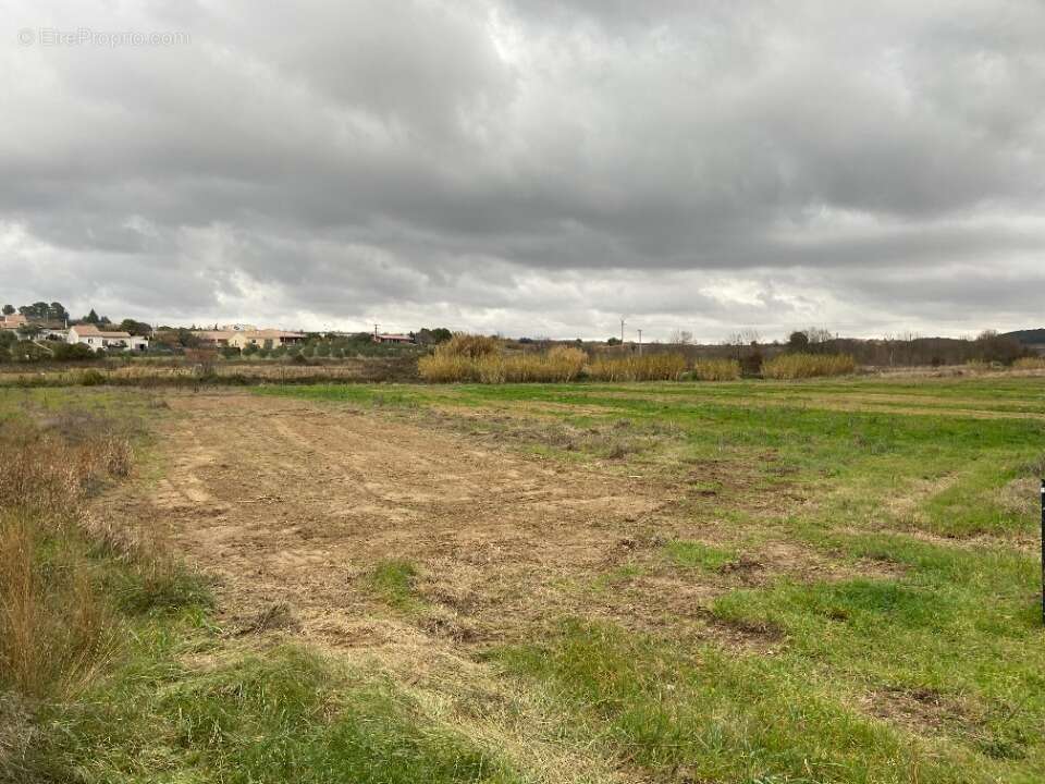 Terrain à PUISSERGUIER