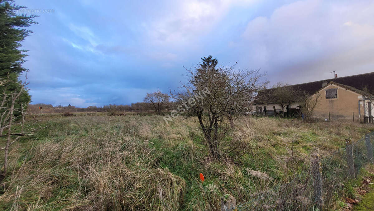 Terrain à NEUVILLE-SUR-SARTHE