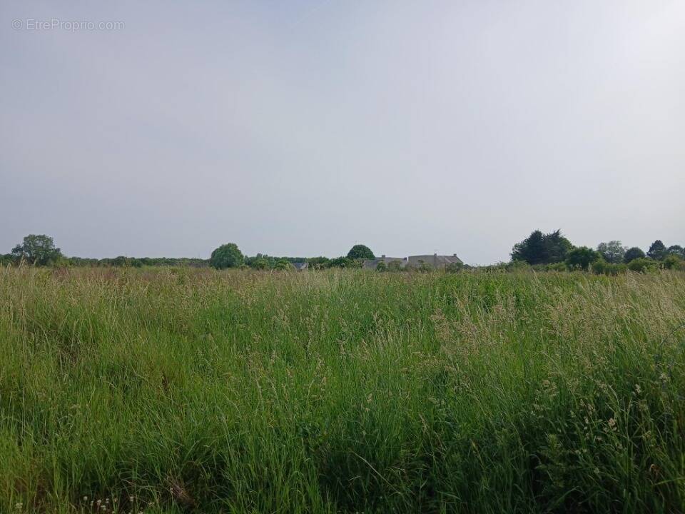 Terrain à FORMIGNY
