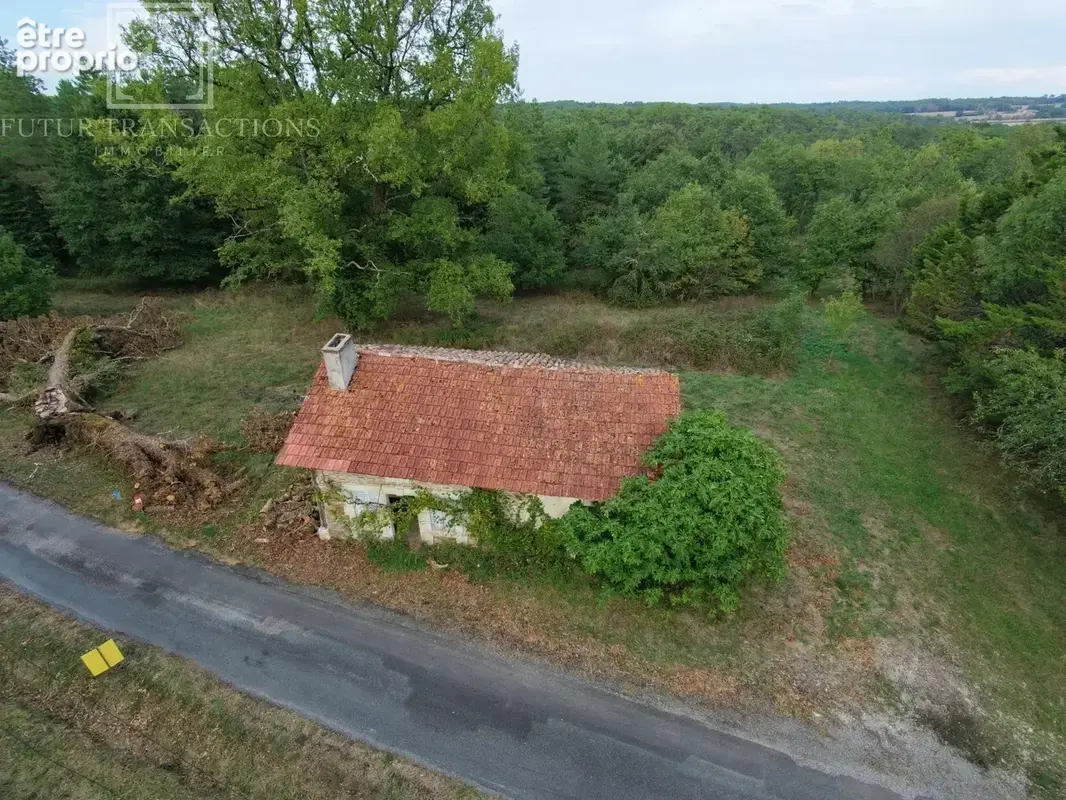 Maison avec étangs sur 12 ha - photo 10