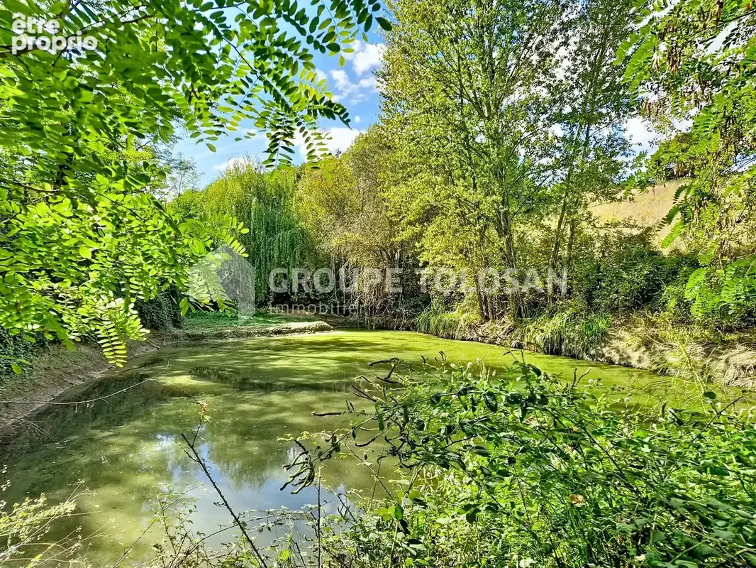 Photo Terrain à Fourquevaux au prix de 38 000€