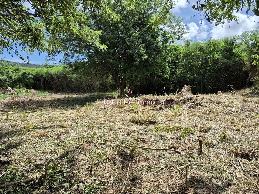 Terrain à LE VAUCLIN