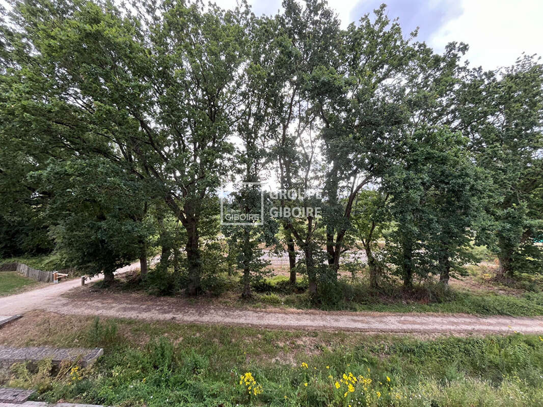 Agence giboire - appartement type 2 de plus de 45,69m²  a cesson sevigne - photo 6