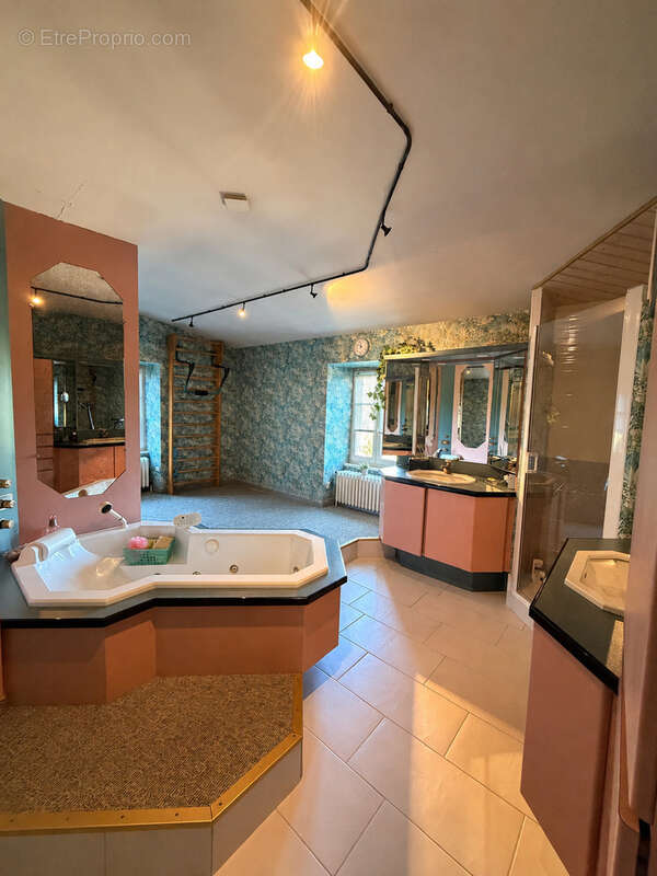 Exclusivité   propriété d'exception aux portes d'annonay - photo 13