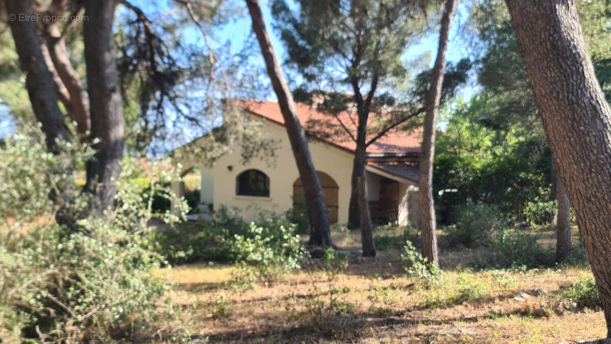 Maison à BOUZIGUES