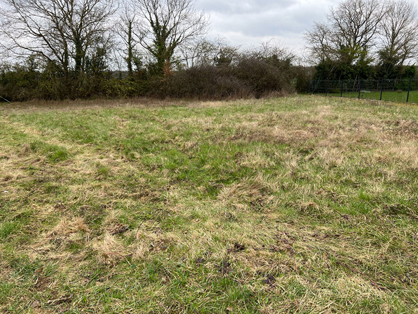 Terrain à SAVIGNE
