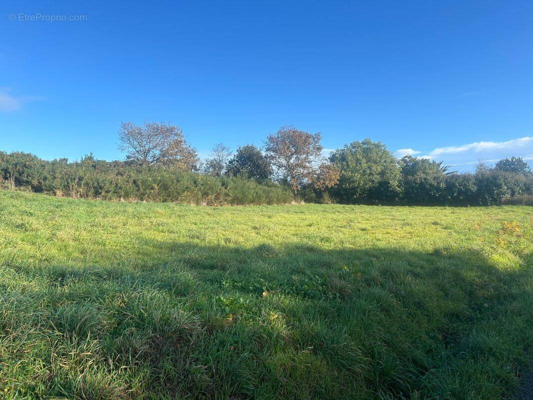 Terrain à PLEUMEUR-BODOU