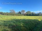 Terrain à PLEUMEUR-BODOU