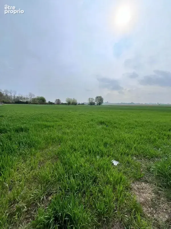 Terrain à ERINGHEM