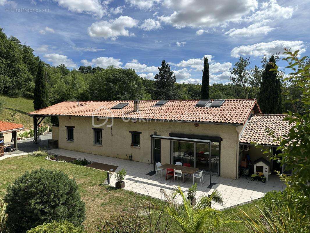 Propriete dans un environnement privilegie- îlot de fraicheur de 1,5 hectare avec vue sur la vallee de la garonne - photo 23