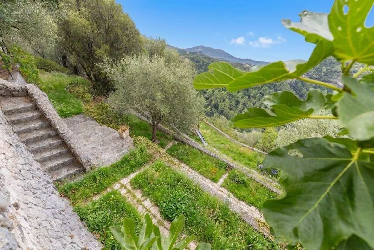 Maison de caractère 8P/ 354 m² – Vue panoramique / 6 suites / appartement 2P indépendant / terrain 1041 m² / 25 min de Nice - photo 12