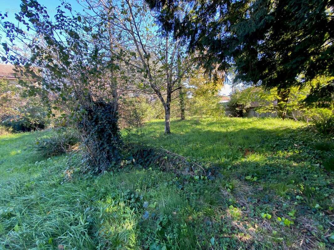 Terrain à ROMANS-SUR-ISERE