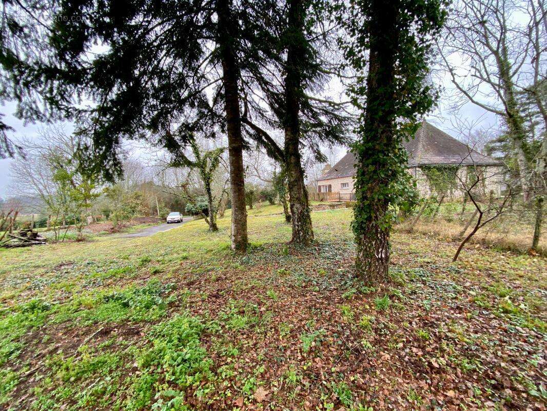 Maison à SAINTE-ALVERE