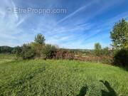 Terrain à ALLASSAC