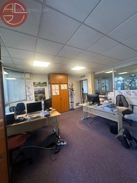 Commerce à TOULOUSE