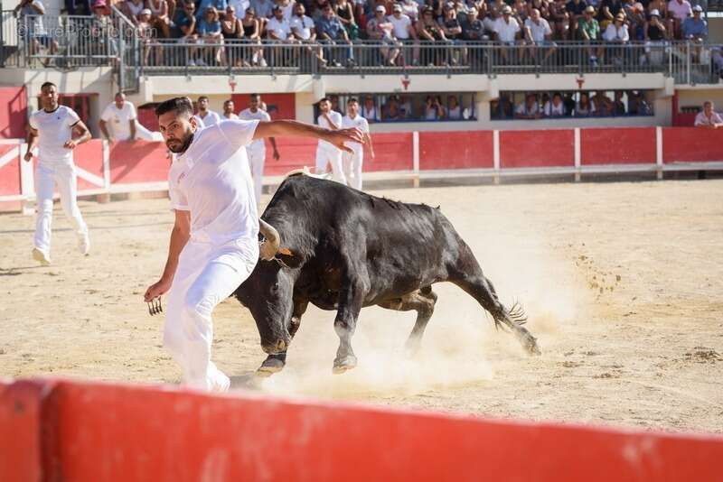 Commerce à LE GRAU-DU-ROI