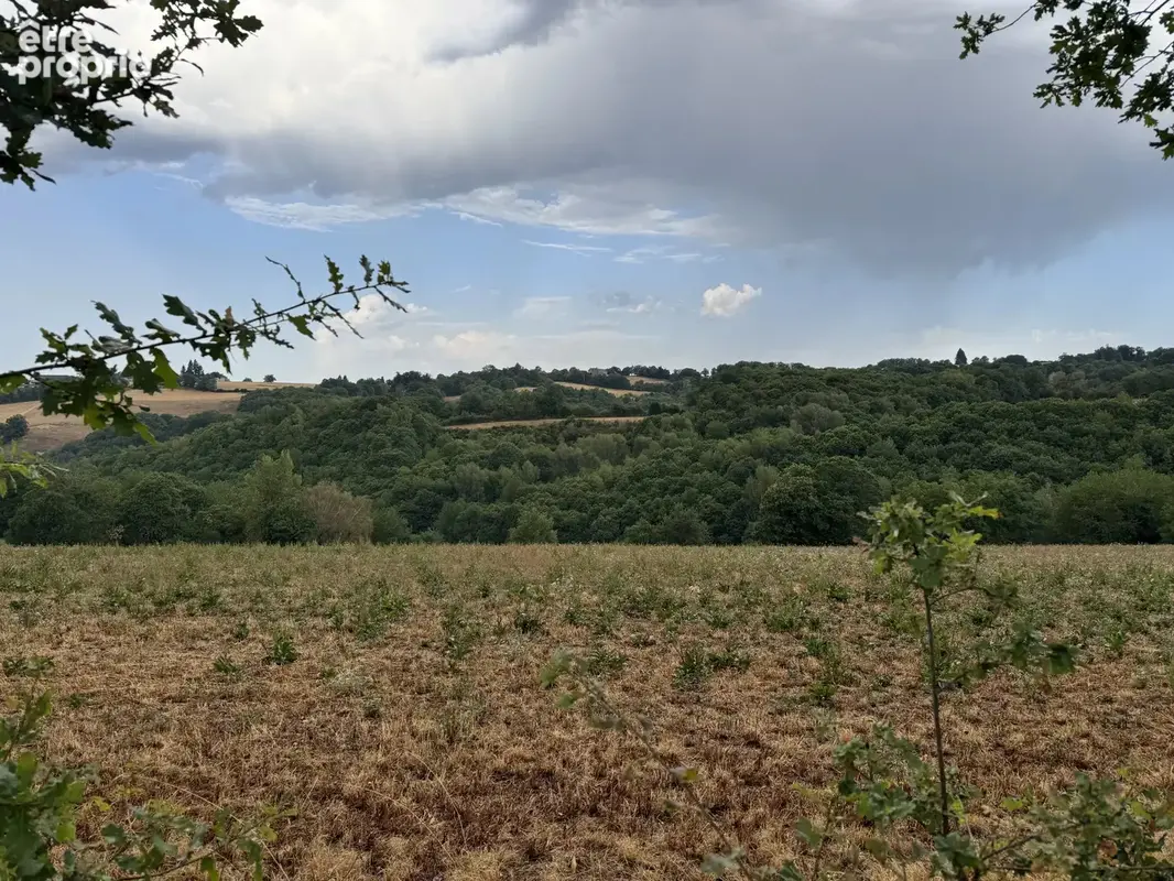 Rieupeyroux – Maison en pierre avec granges et 1,9 ha - photo 20