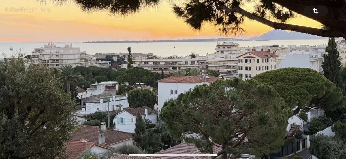 Juan-les-Pins – Mas de Tanit / Rostagne - photo 11