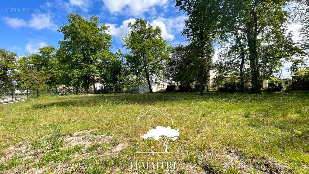 Terrain à LES MATHES