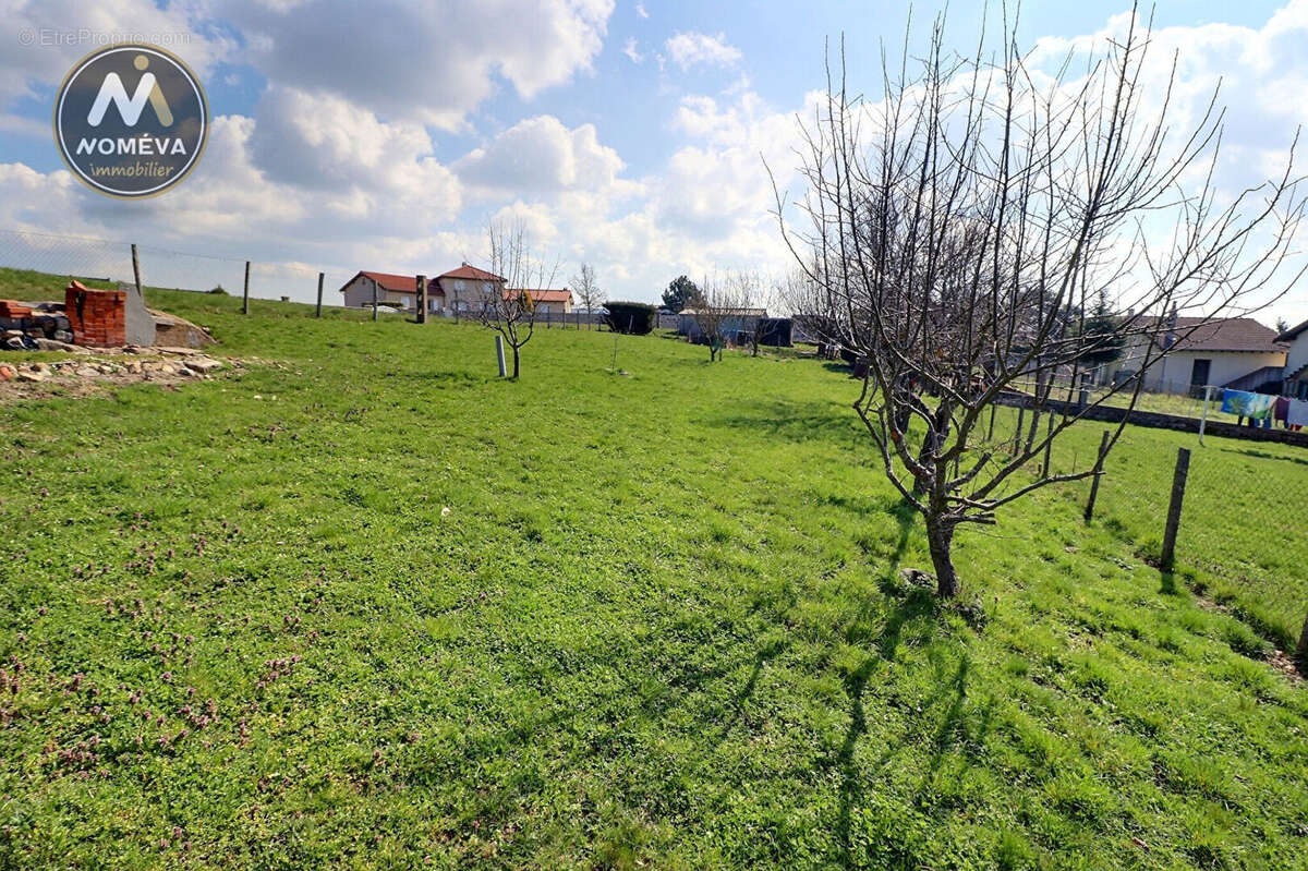 Terrain à MONTFAUCON-EN-VELAY