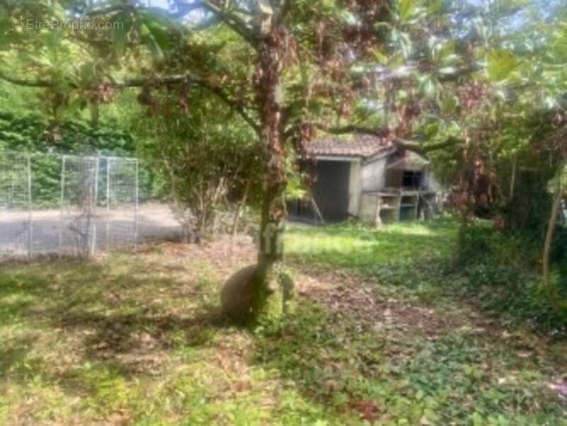 Maison à GREZIEU-LA-VARENNE