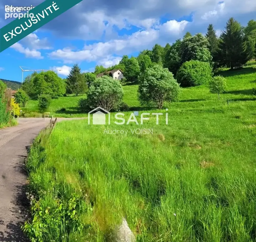 Photo 1 - Terrain à SAINT-MAURICE-SUR-MOSELLE