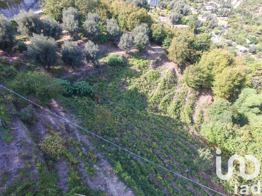 Photo 3 - Terrain à SAINTE-AGNES