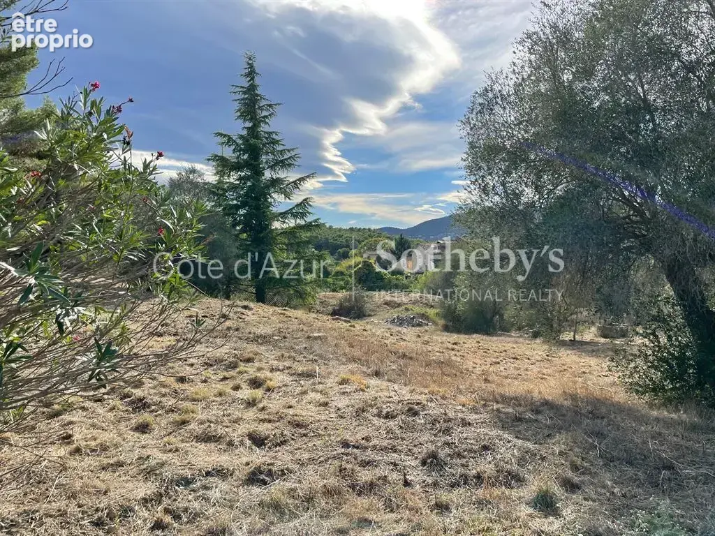 Projet de 3 villas contemporaines sur 35 233 m² - photo 6