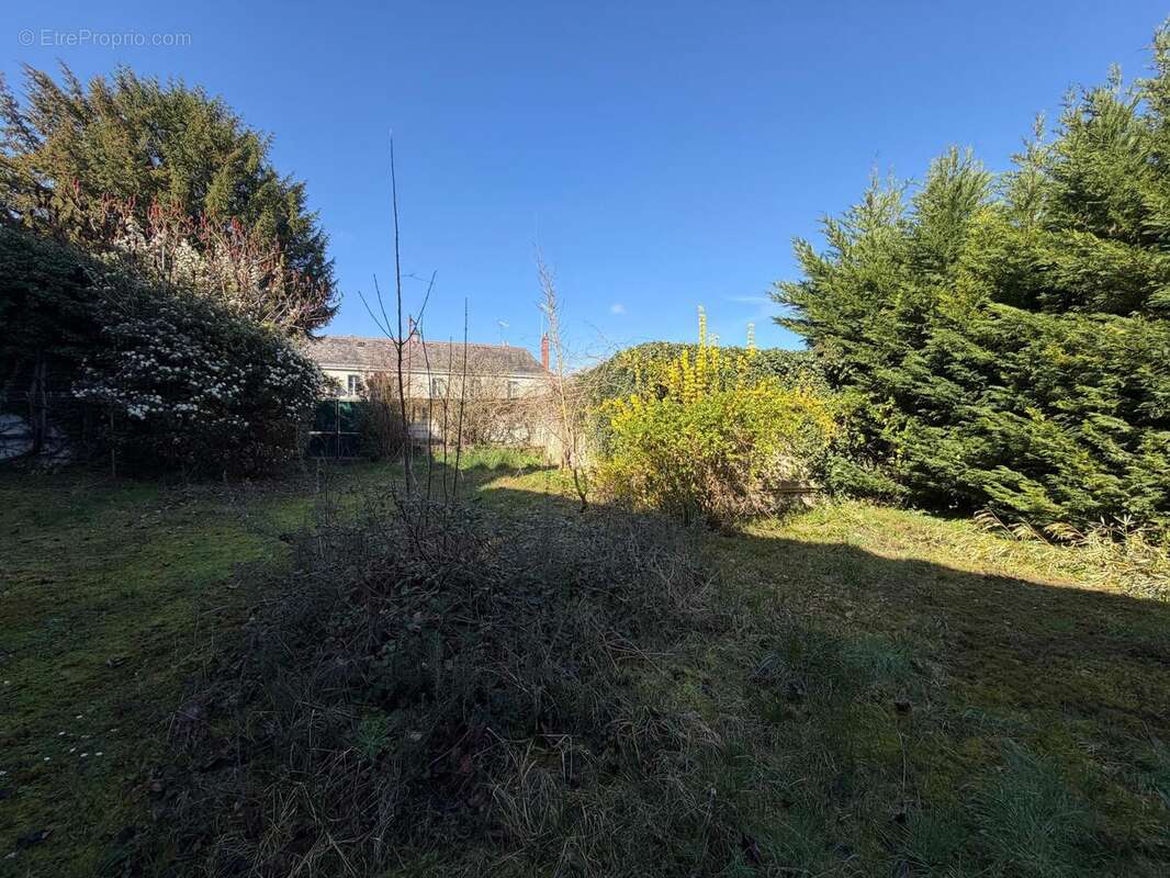 Photo 8 - Maison à LOCHES