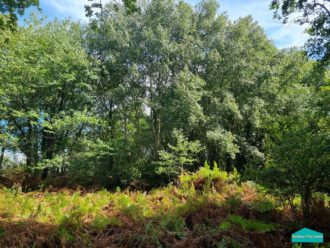 Terrain à LA GARNACHE