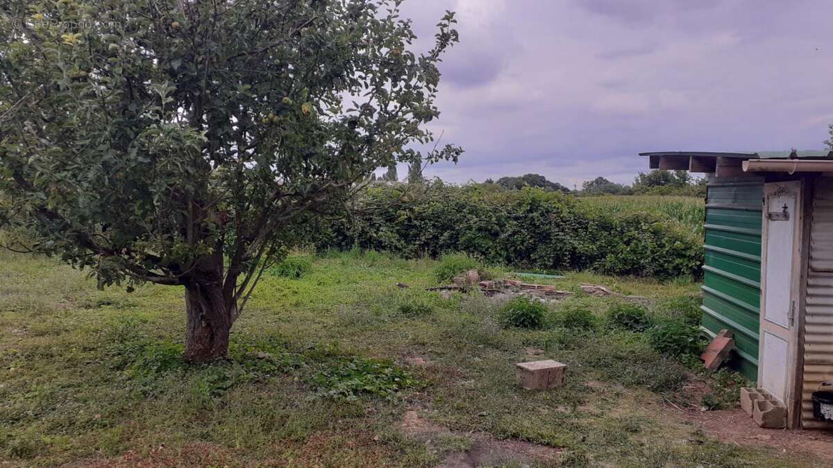 Terrain à Bâtir - photo 3