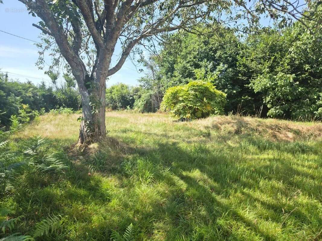 Vente Terrain Brech(56400) 105 990ï¿œ - photo 3