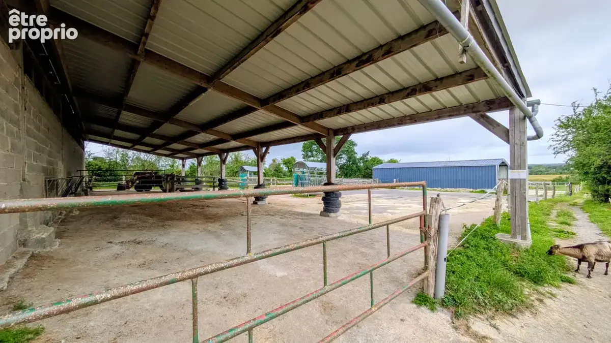 Maison - gites - installations equestres - photo 14