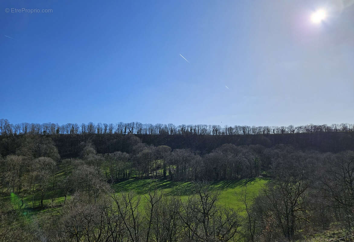 Terrain constructible de 3000 m2 avec très belle vue dégagée plein SUD secteur prisé d'Onet l'Eglise - photo 6