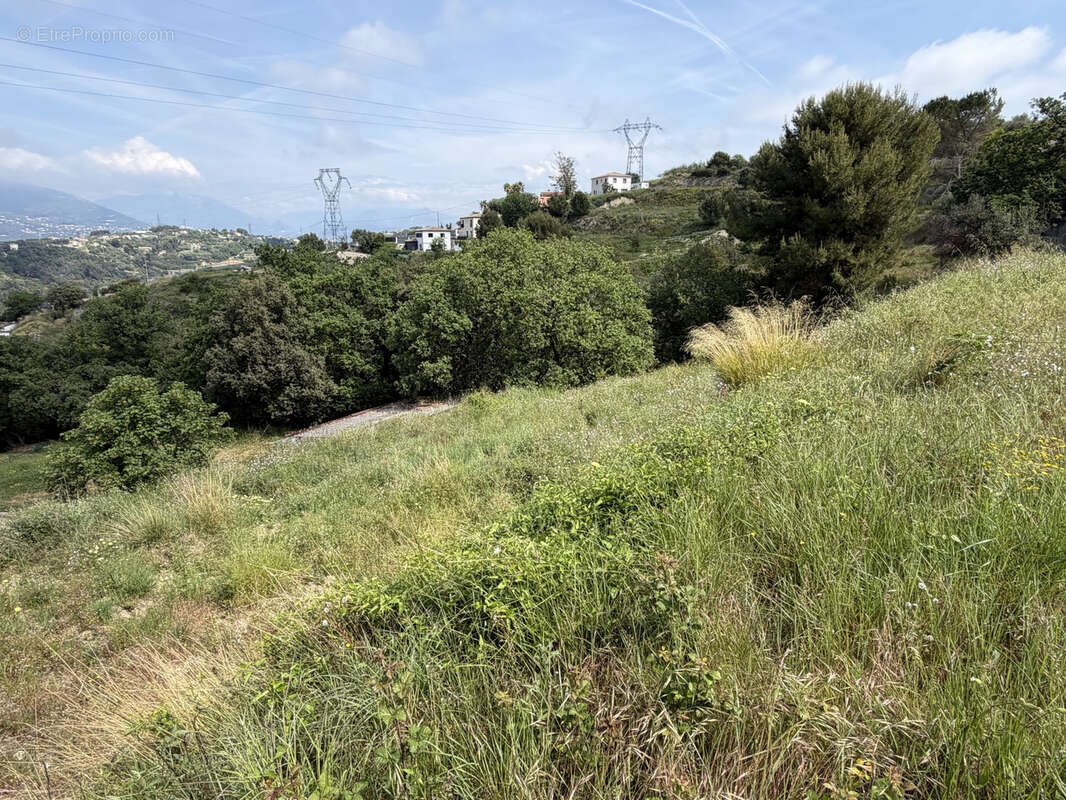 Terrain à NICE