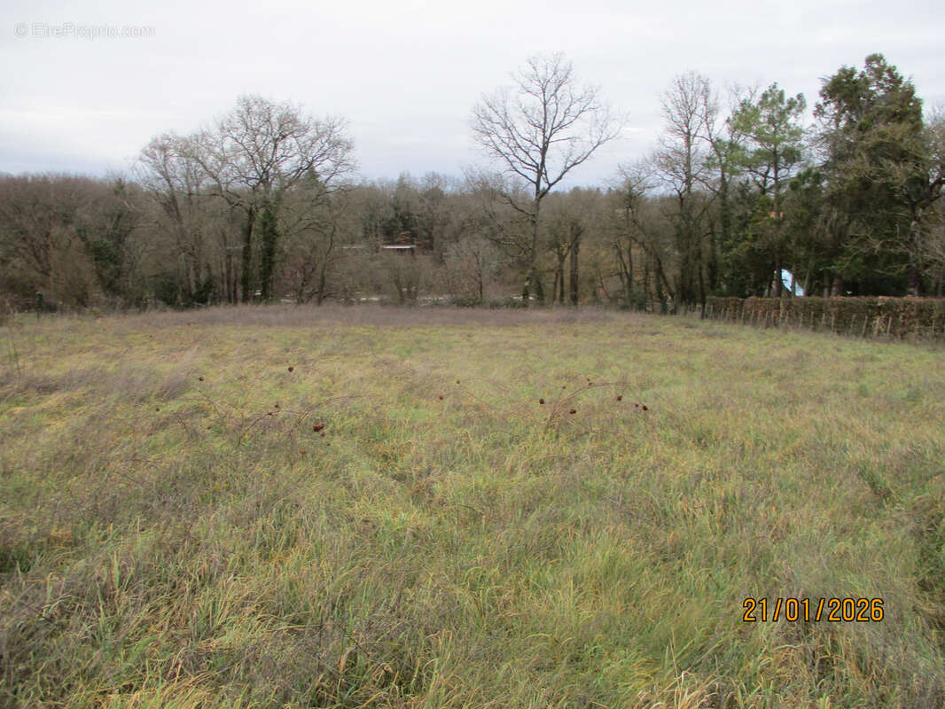 Terrain à CEAUX-EN-COUHE