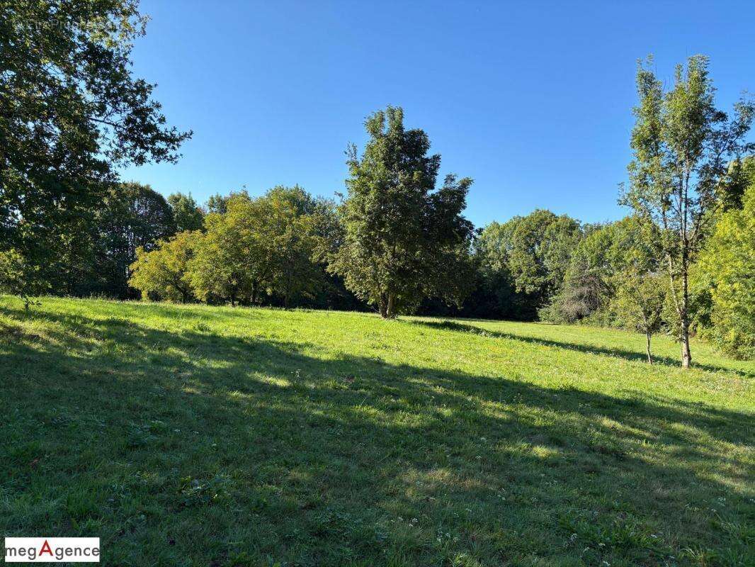 Terrain à SAINT-GERMAIN-LES-VERGNES