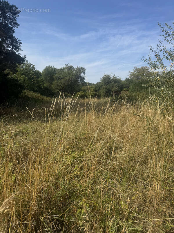 Terrain constructible, 1800 m2, - photo 2
