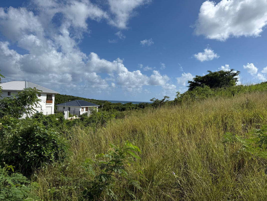 Terrain à LE DIAMANT