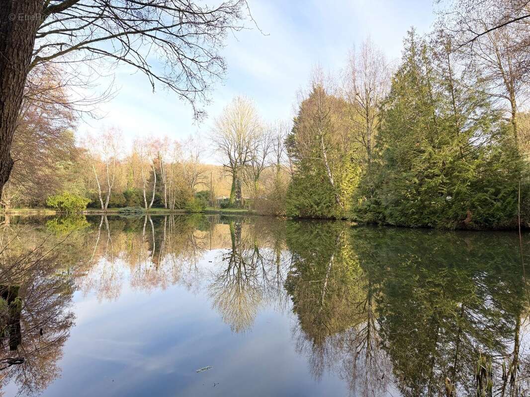 Lac - Maison à TORCE-EN-VALLEE