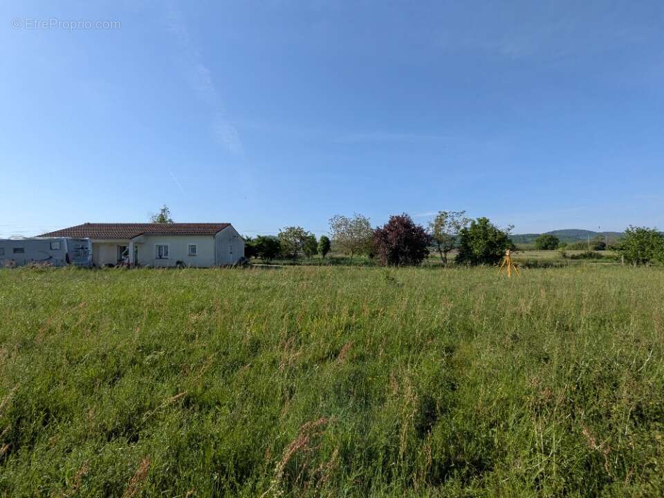 Terrain 1851 m² à Palaminy  - photo 2