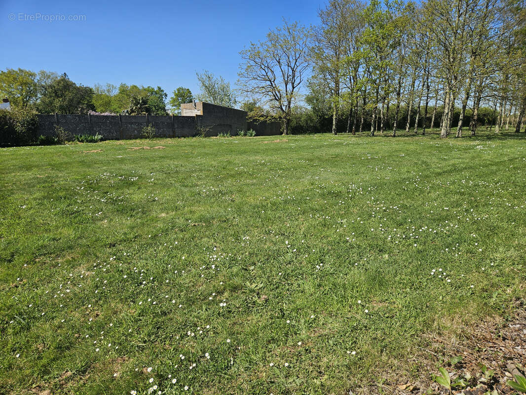 Terrain à BOURGNEUF-EN-RETZ