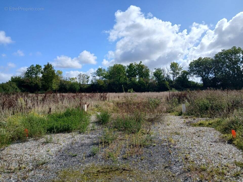 Terrain à GENNEVILLE
