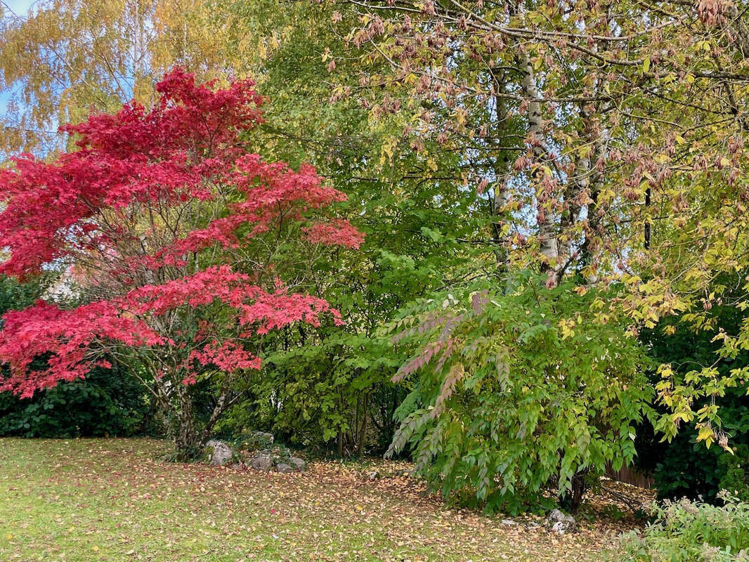 Maison à DIVONNE-LES-BAINS