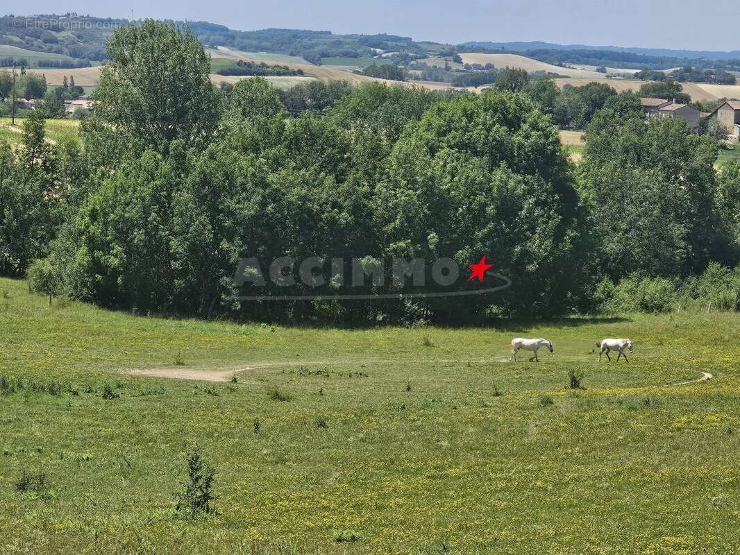 Venes - maison type "corps de ferme" - photo 9