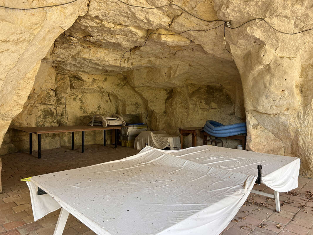 Maison à LE GRAND-PRESSIGNY