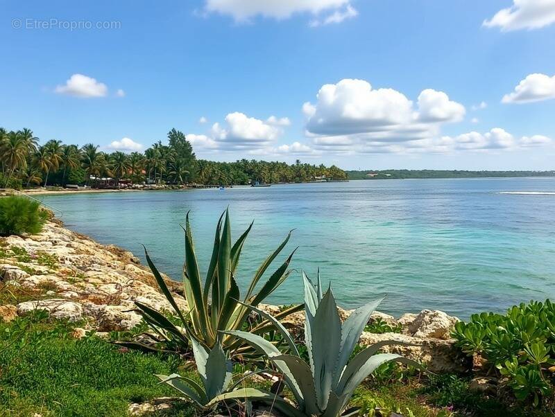 Appartement à SAINTE-ANNE